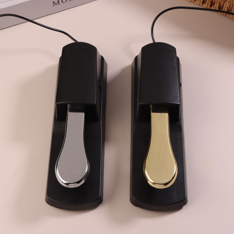 Musical Instruments Names - Sustain Pedal With Polarity Switch For