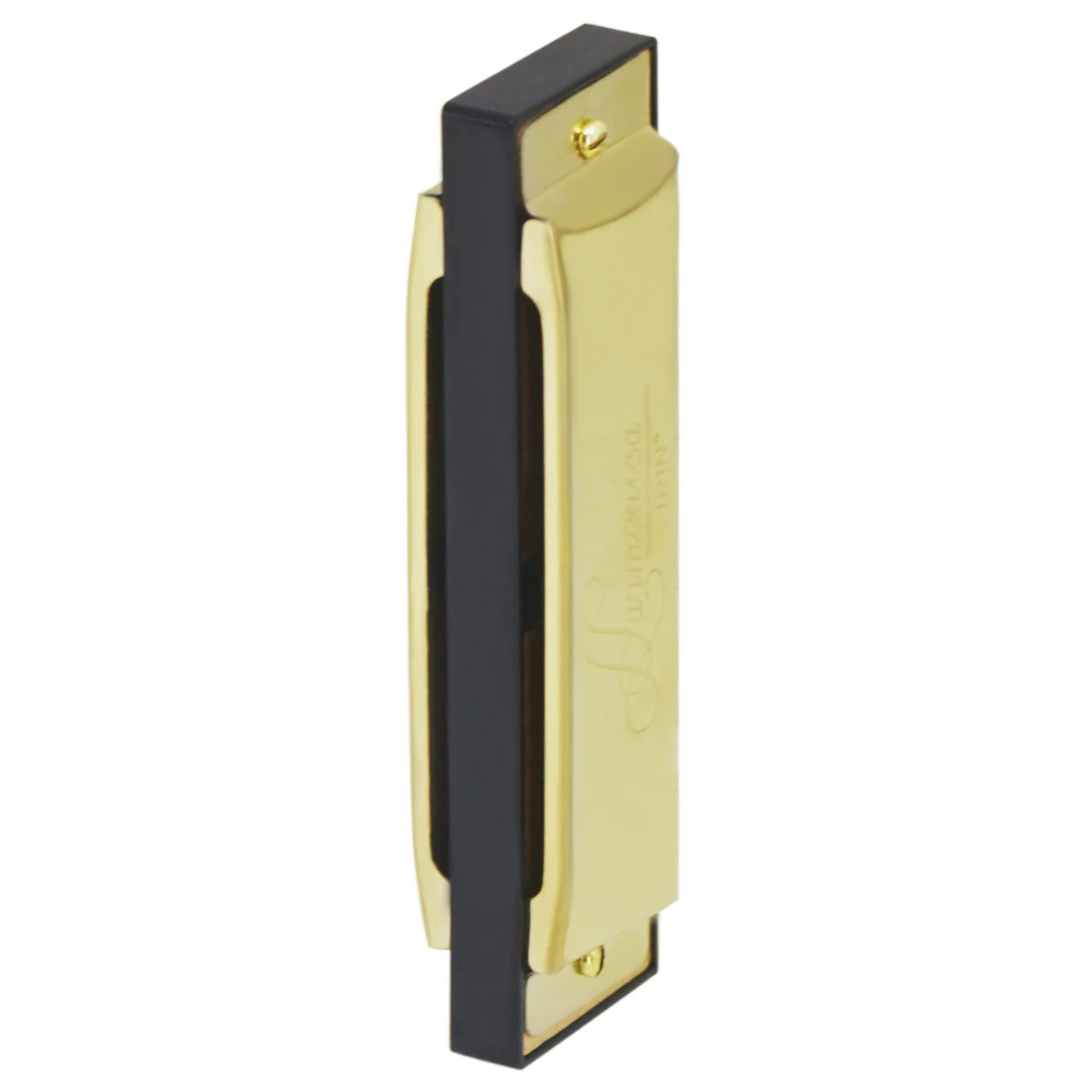 IRIN Harmonica 10 Hole 20 Tone - Musical Instruments Names recension och pris