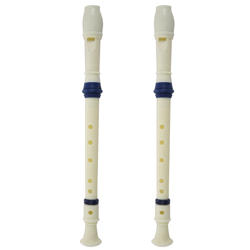 FSTE-2X Music Instrument 6 Hol - Musical Instrument A Recorder recension och pris