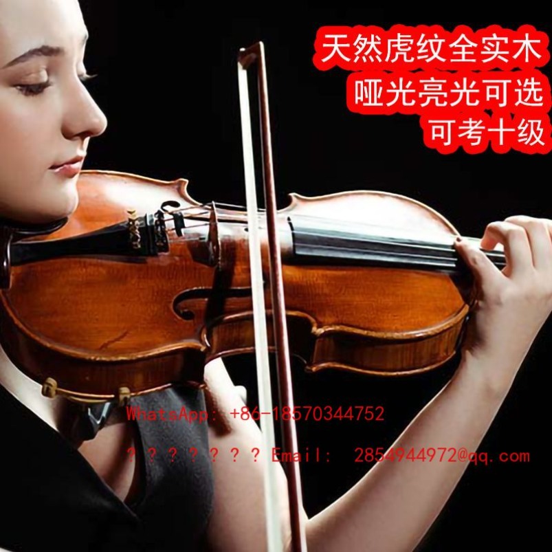 Professional Playing Grade Vio - Musical Instrument Net recension och pris