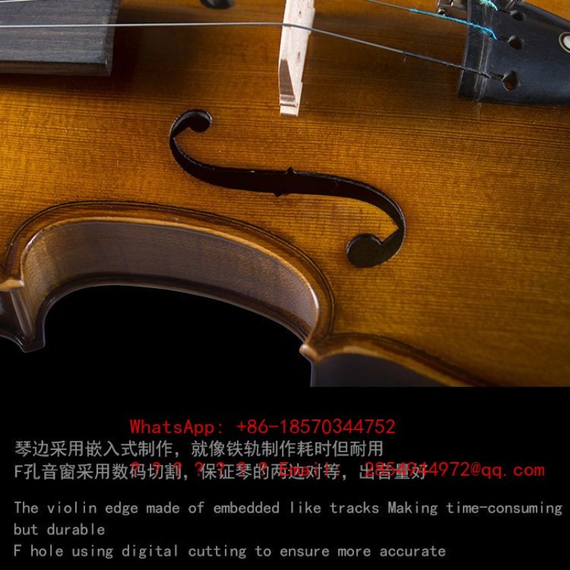 Professional Playing Grade Vio - Musical Instrument Net recension och pris