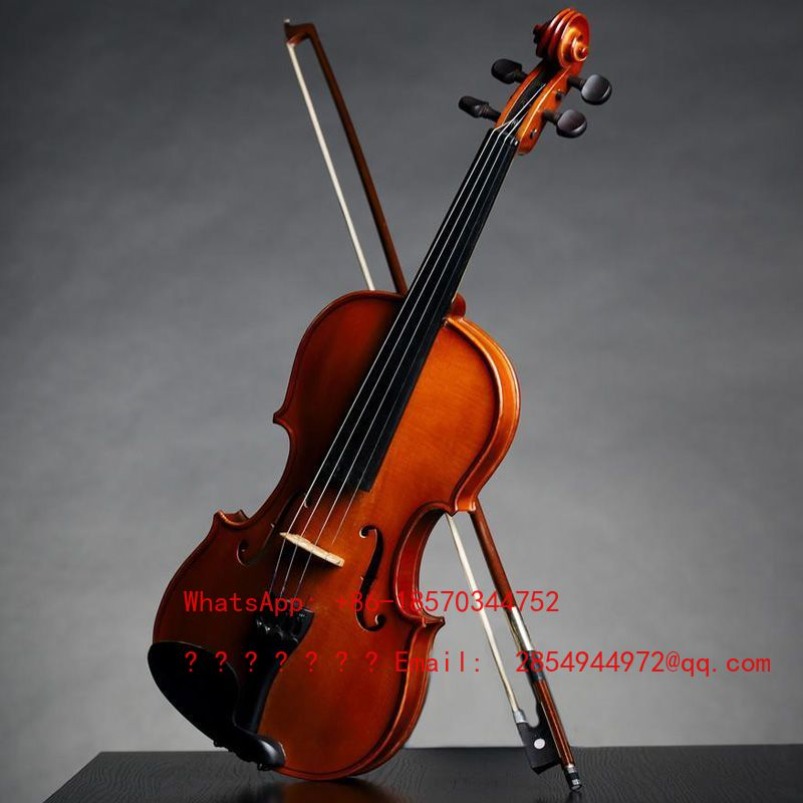 Professional Playing Grade Vio - Musical Instrument Net recension och pris