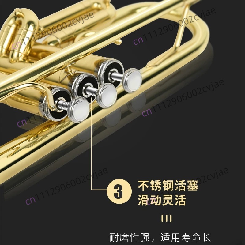 Suitable for Jinbao trumpet mu - Musical Instrument Band recension och pris