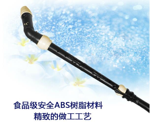 Professional 8 Holes Baroque B - Musical Instrument A Recorder recension och pris