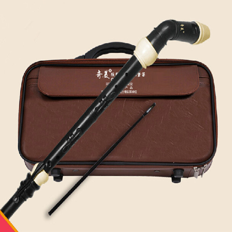 Professional 8 Holes Baroque B - Musical Instrument A Recorder recension och pris