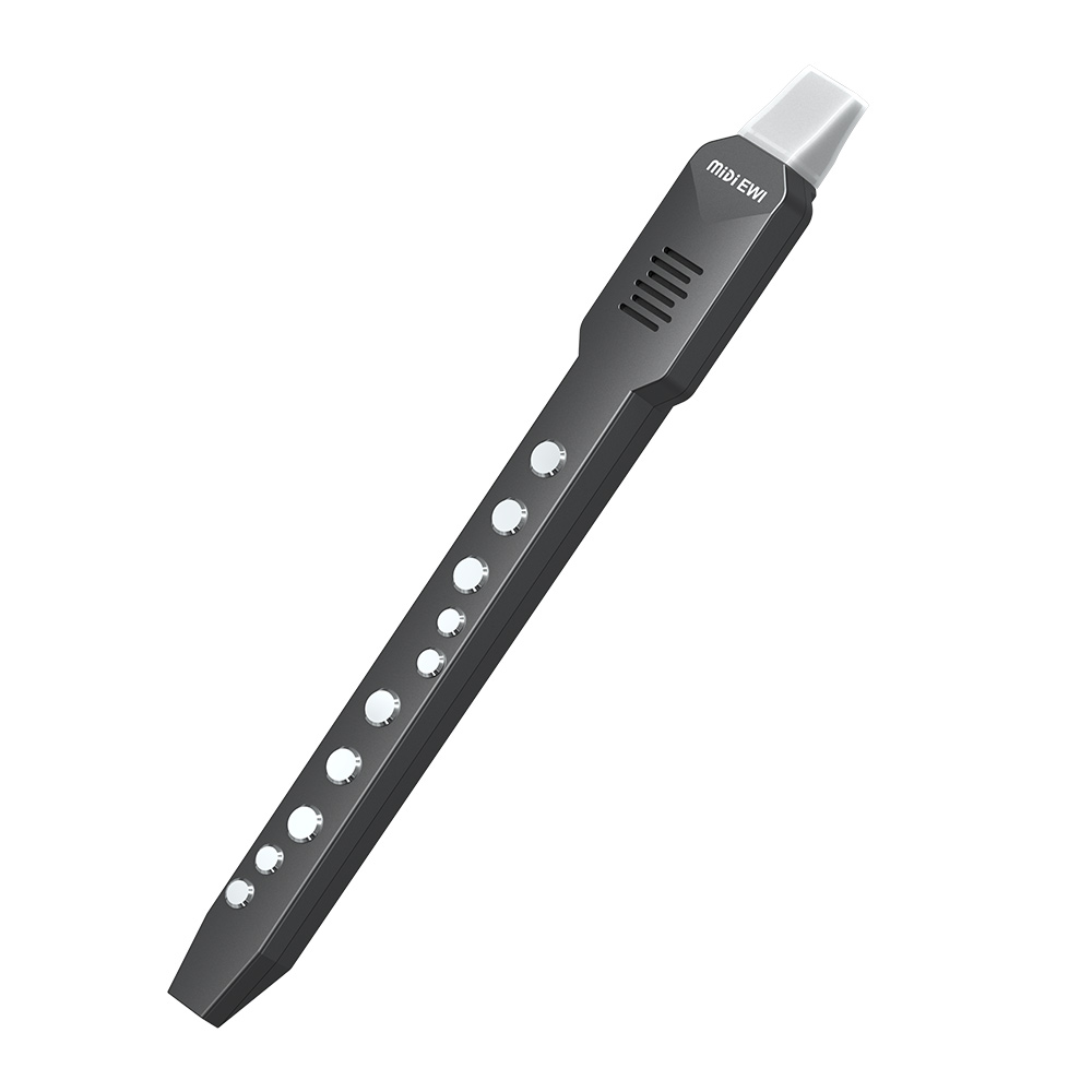 Small Transverse Flute Electro - Musical Instrument A Recorder recension och pris