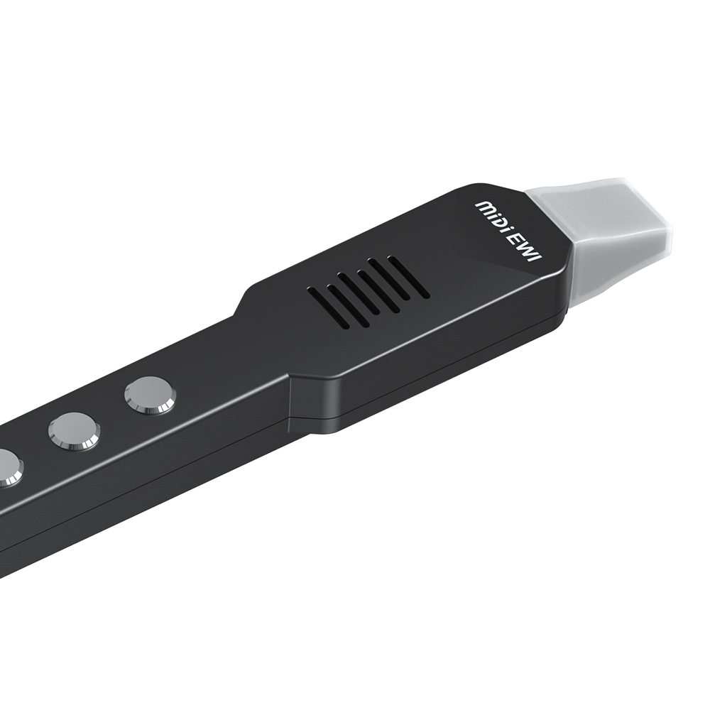 Small Transverse Flute Electro - Musical Instrument A Recorder recension och pris